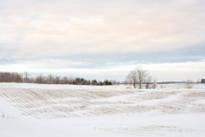 case-ih-background